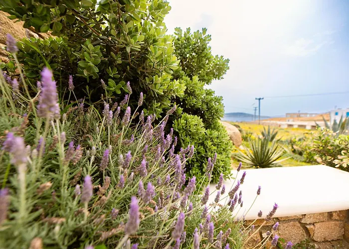 Opus Apartment Agios Stefanos (Mykonos)